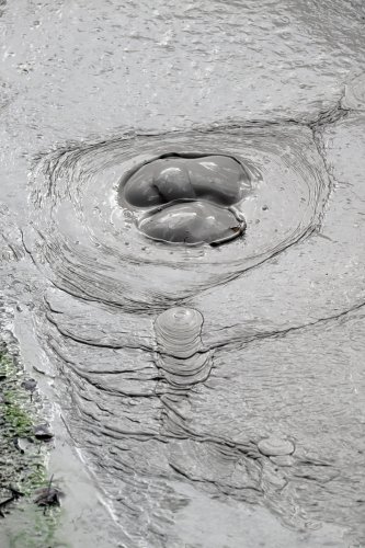 Parc national du Rincon de la Vieja (Alajuela, Costa Rica) - Bulles dans une mare de boue.(VO-25-1428)