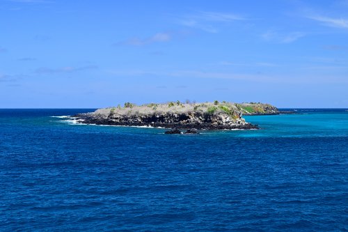 South Plazas (Santa Cruz, Galapagos, Equateur) - Ilot au large de South Plazas island(VO-26-0165)