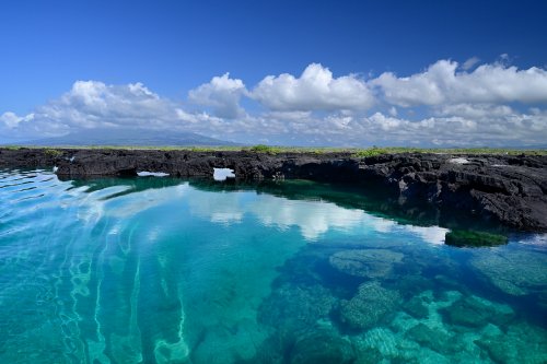 Los Tuneles (Isabela, Galapagos, Equateur) - Eau turquoise transparente bordée de rochers de basalte (VO-26-0493)