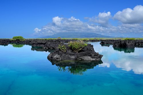 Los Tuneles (Isabela, Galapagos, Equateur) - Rochers de lave et eaux turquoise (volcan Sierra Negra en fond)(VO-26-0499B)