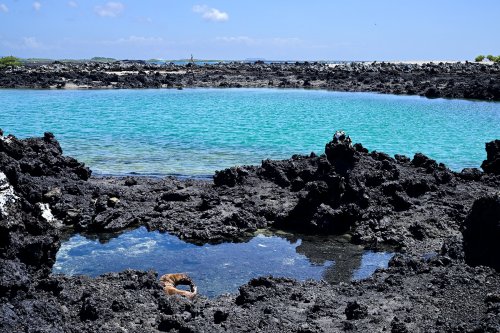 Las Tintoreras (Isabela, Galapagos, Equateur) - Rochers de basalte déchiquetés avec bras d'océan aux eaux turquoises (VO-26-0563)