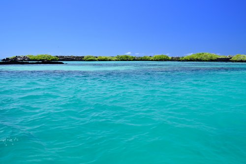 Los Tuneles (Isabela, Galapagos, Equateur) - Mer turquoise bordée de mangrove avec ciel bleu(VO-26-0578)