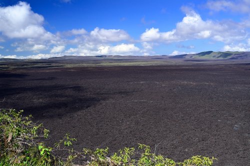 Volcan Sierra Negra (Isabela, Galapagos, Equateur) - Vue générale de la caldeira vers le sud-ouest.(VO-26-0593)