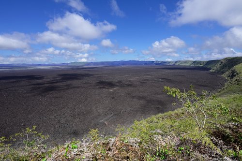 Volcan Sierra Negra (Isabela, Galapagos, Equateur) - Vue générale de la partie nord de la caldeira (VO-26-0594)