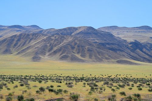 Région du Köytendag (Turkménistan) - Collines de gypse avec prairie herbeuse au pied du Massif du Köytendag (ciel bleu).(VO-26-0920)