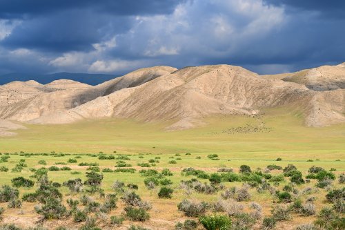 Région du Köytendag (Turkménistan) - Collines de gypse avec prairie herbeuse au pied du Massif du Köytendag (ciel d'orage).(VO-26-0940)