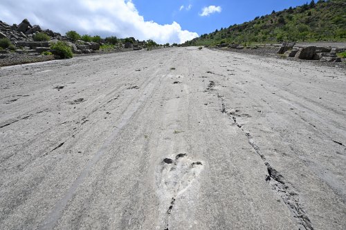 Région du Köytendag (Turkménistan) - Plateau des Dinosaures : dalle avec empreintes de dinosaures vue vers le haut(VO-26-1010)
