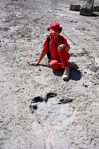 Région du Köytendag (Turkménistan) - Plateau des Dinosaures : empreinte de dinosaure avec personnage assis derrière.(VO-26-1013)