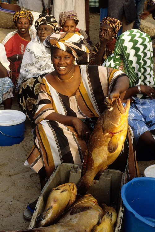 voy-03142-hd(Voy-03142-Hd.jpg)