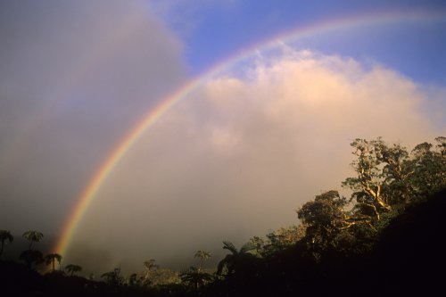 Ile de la Réunion(Voy-13454)
