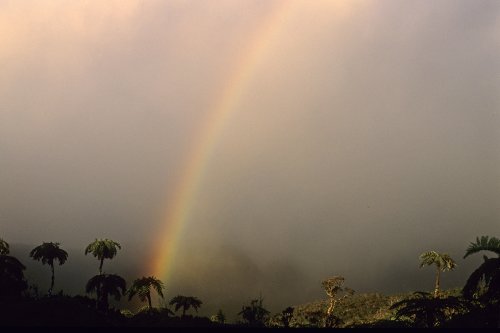 Ile de la Réunion(Voy-13455)