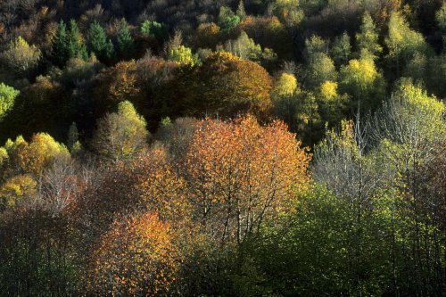 Haute vallée de l'Aude (Mijanès)(M 2912)