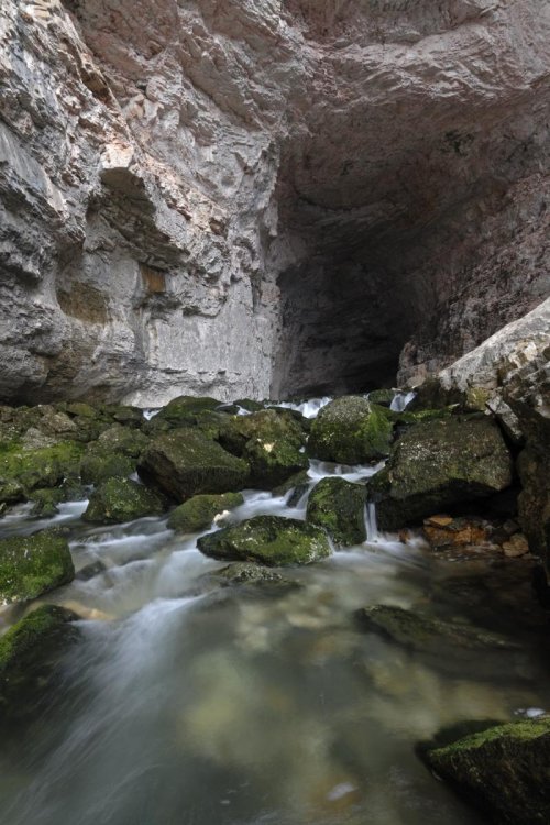 Grotte de Bournillon (Drôme)(H 06-0015)