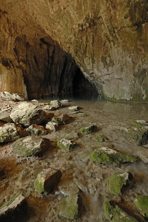 Grotte de Gournier (Drôme)(H 06-0021)