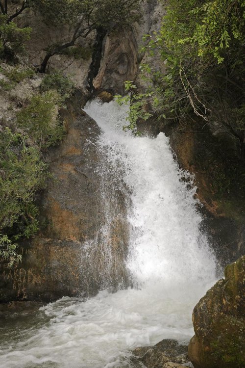Résurgence de Bord Nègre en crue (Gard)(H 08-0053)