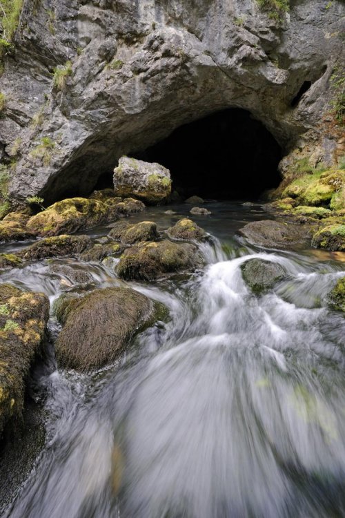 Goule Noire (Gorges de la Bourne, Drôme)(H 08-0098)