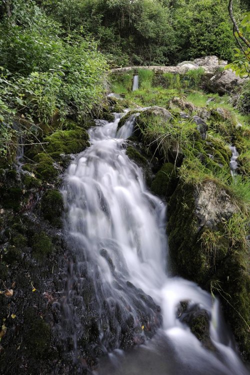 Source de Montjoi (Aude)(H 10-0054)