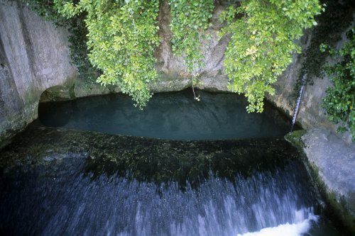 Source de Sauve (Gard)(H 1113)