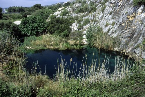 Source de Fontestramar (Pyrénées Orientales)(H 1240)