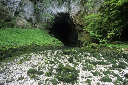 Vallée de Rakavskojan (Karst slovène). La petite rivière Rak se perd à dans le grand porche de Tkalca jama. C'est un véritable torrent qui y coule lors des crues.(H 1609)