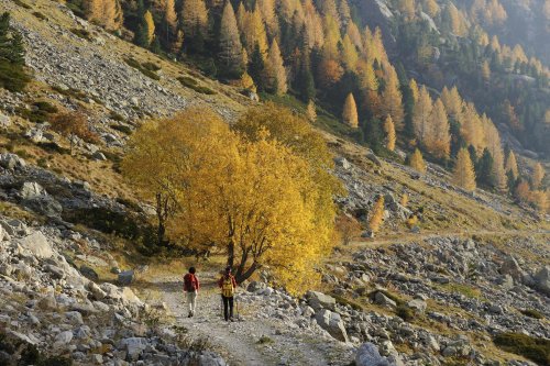 Vallée de la Gordolasque (Alpes Maritimes) - Retour de randonnée(M 09-0178)