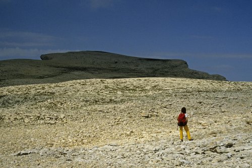 Plateau sommital du Pic de Bure (Massif du Dévoluy - Hautes Alpes)(M 0474)