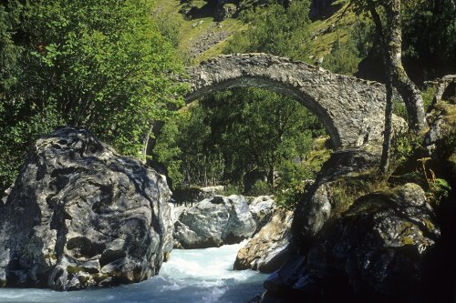Pont sur le Vénéon (Ecrins, Hautes Alpes)(M 3397)