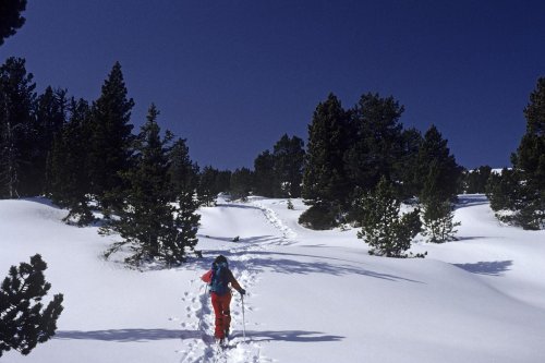 Traversée de la Chartreuse en ski de raid(M 4042)