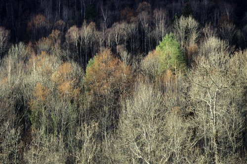 Pyrénées ariégeoises(M 4619)