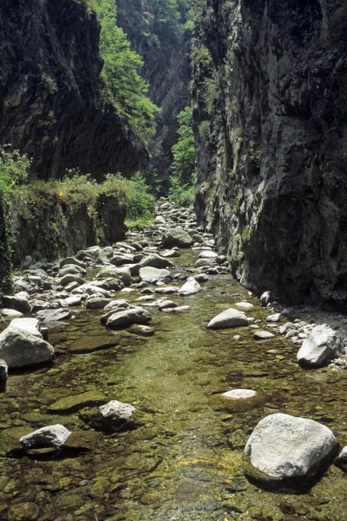 Gorges de la Carança (Cerdagne, Pyrénées-Orientales)(M 5007)