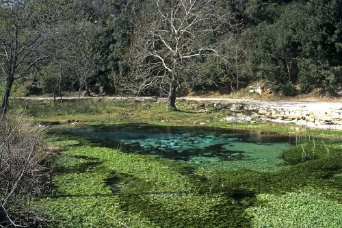 Source de la Buèges (Hérault)(M 5413)