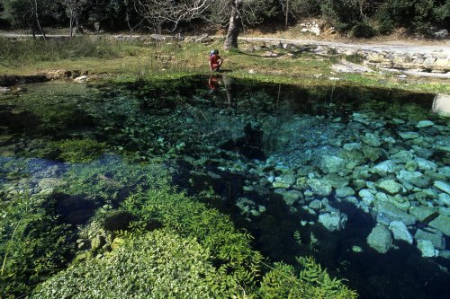 Source de la Buèges (Hérault)(M 5416)