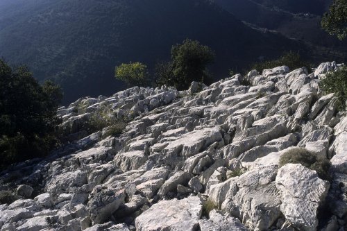 Ranc de Banes (Sumène, Gard)(M 5591)