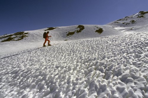 Montée en ski de rando à la crête de l'Echaillon (Queyras)(M 6152)