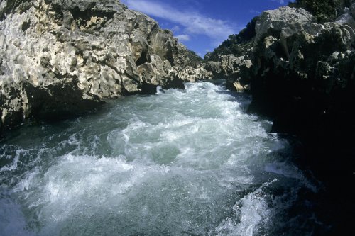 Gorges de l'Hérault(M 7086)