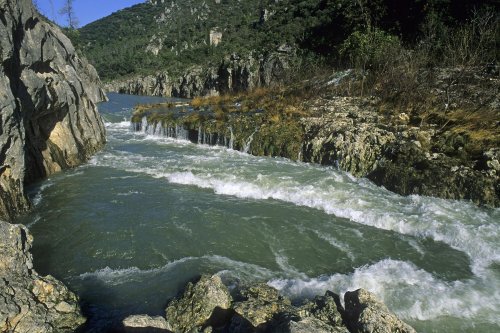 Gorges de l'Hérault (hautes eaux)(M 7395)