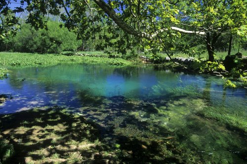 Source de la Buèges (Hérault)(M 7612)