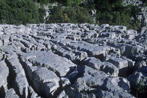 Ravin des Arcs (Hérault)(M 7631)