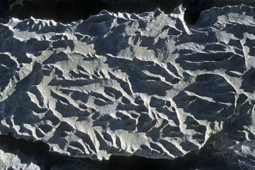 Massif de la Schrattenfluh(M 7639)