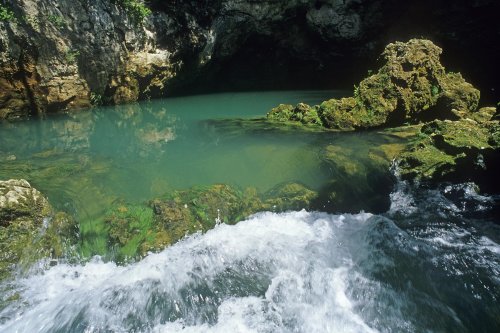 Exsurgence de Gourneyras (Gorges de la Vis, Saint-Maurice de Navacelles, Hérault)(M 7689)