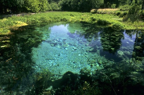Source de la Buèges (Hérault)(M 7712)