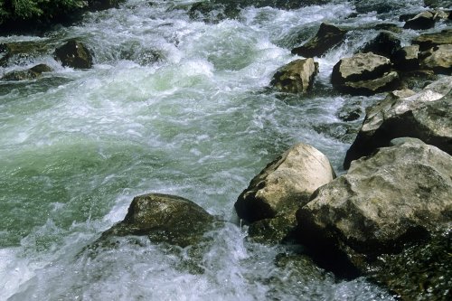 Rapide dans les Gorges de l'Hérault (M 7763)