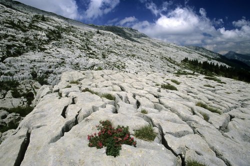 Massif de la Schrattenfluh (Suisse)(M 8297)