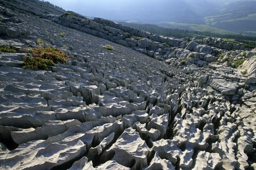 Massif de la Schrattenfluh (Suisse)(M 8362)