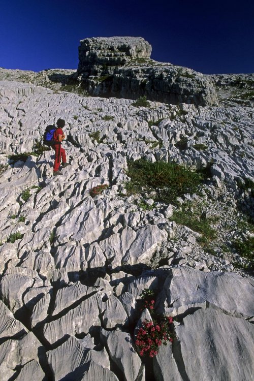 Massif de la Schrattenfluh (Suisse)(M 8378)