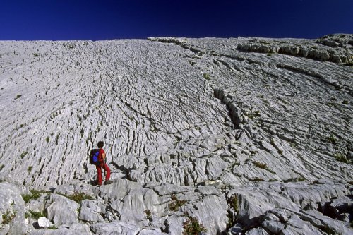 Massif de la Schrattenfluh (Suisse)(M 8406)