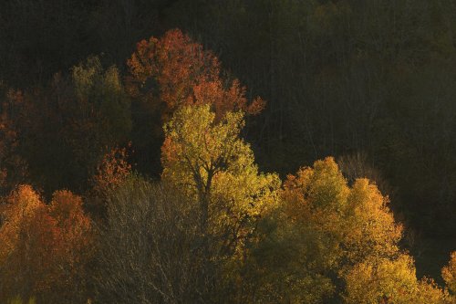 Haute vallée de l'Aude(P 05-0018)