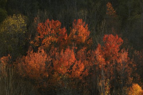 Haute vallée de l'Aude(P 05-0020)