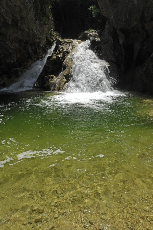 Gouffre des Aiguillères (Gard)(R 07-0003)