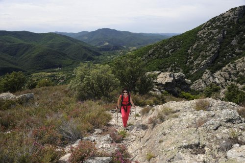 Massif du Carroux (Hérault)(R 08-0064)